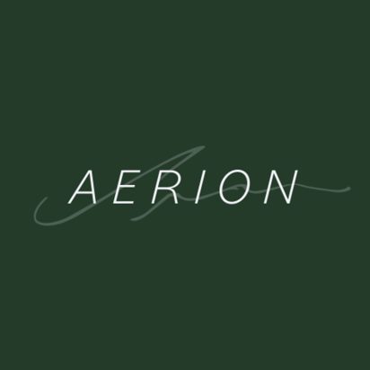 Aerion-VisualIdentity_01