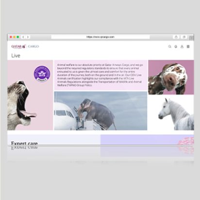 QR-TheNextGen_04